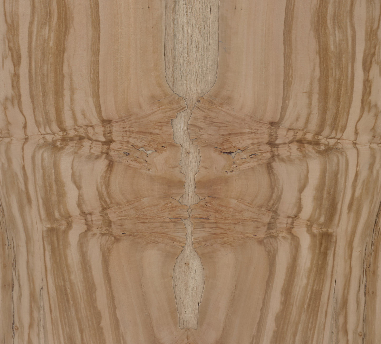Carlota Coffee Table