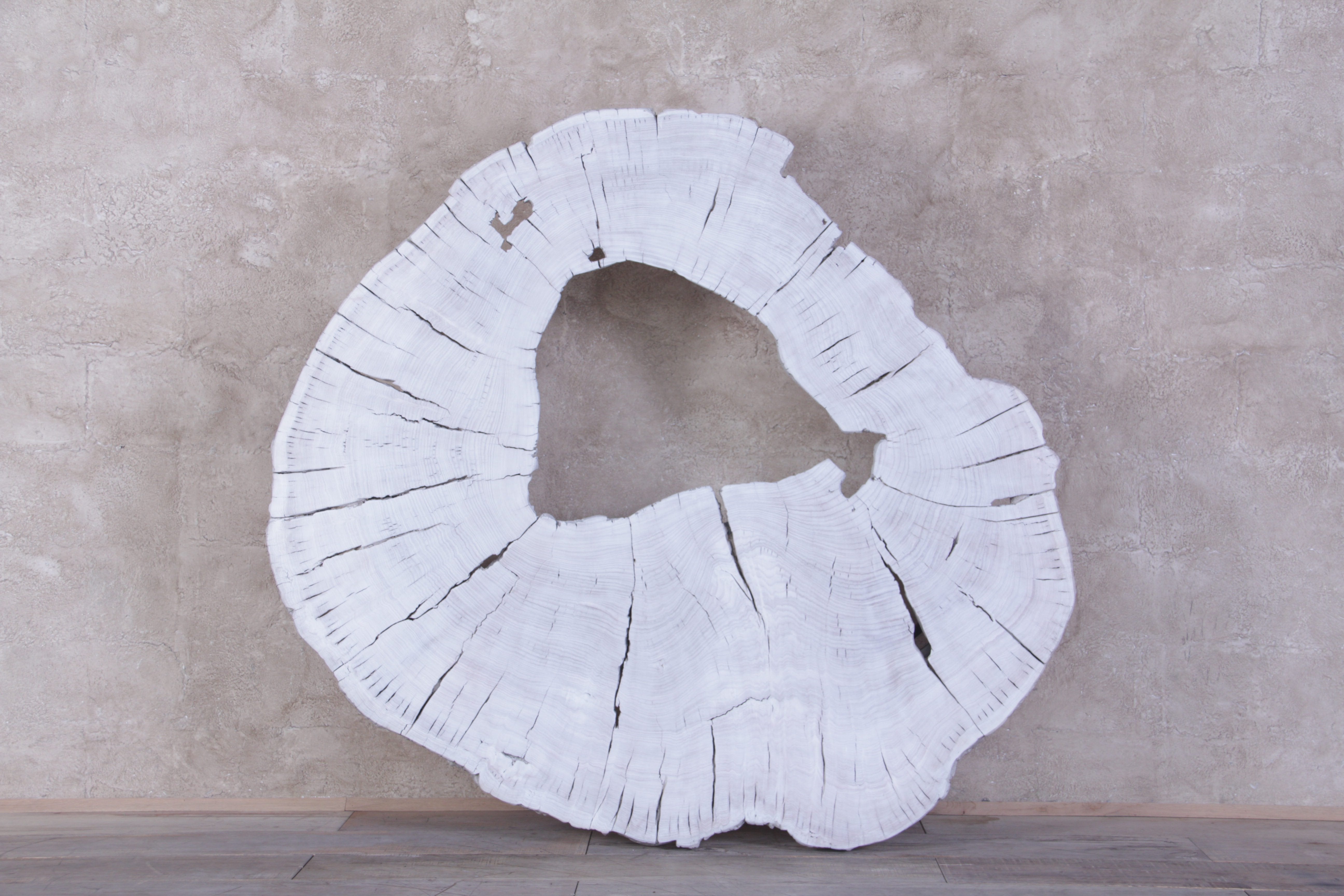 Y18.TOPVIEW.jpg?v=1741390962