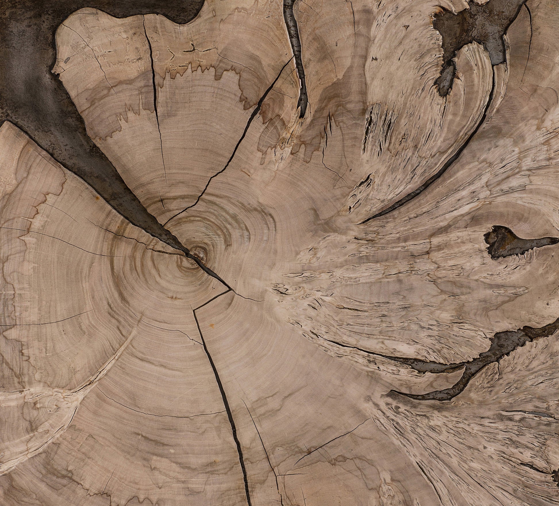 Milpa Vuelto Coffee Table