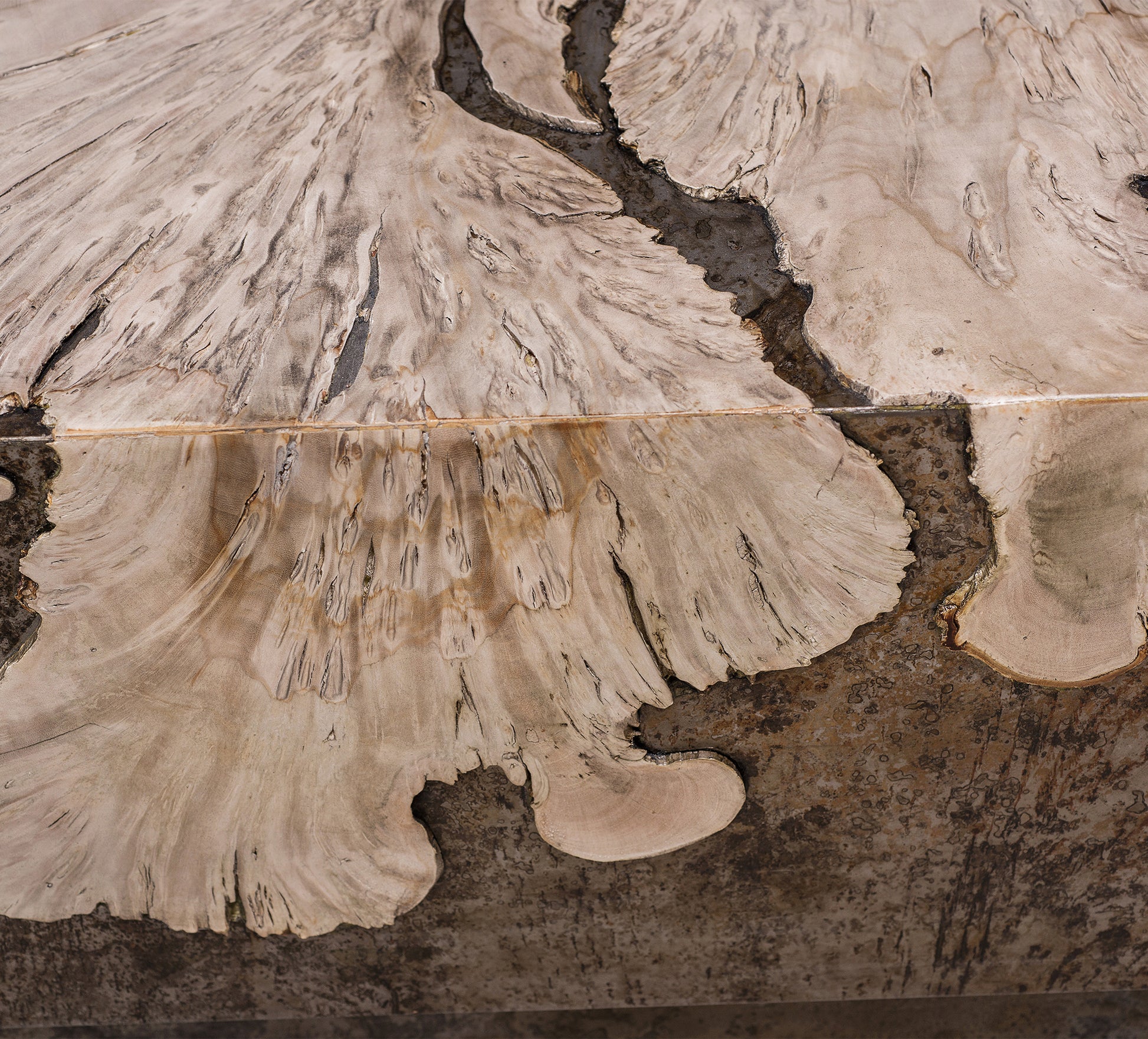 Milpa Vuelto Coffee Table