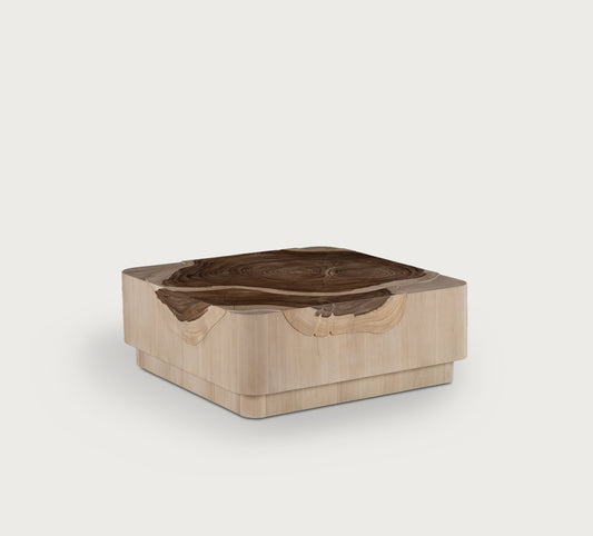 Mara Square Coffee Table