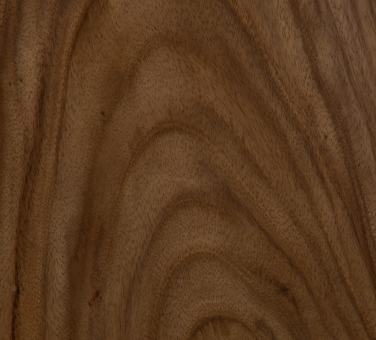 Vanna Armchair